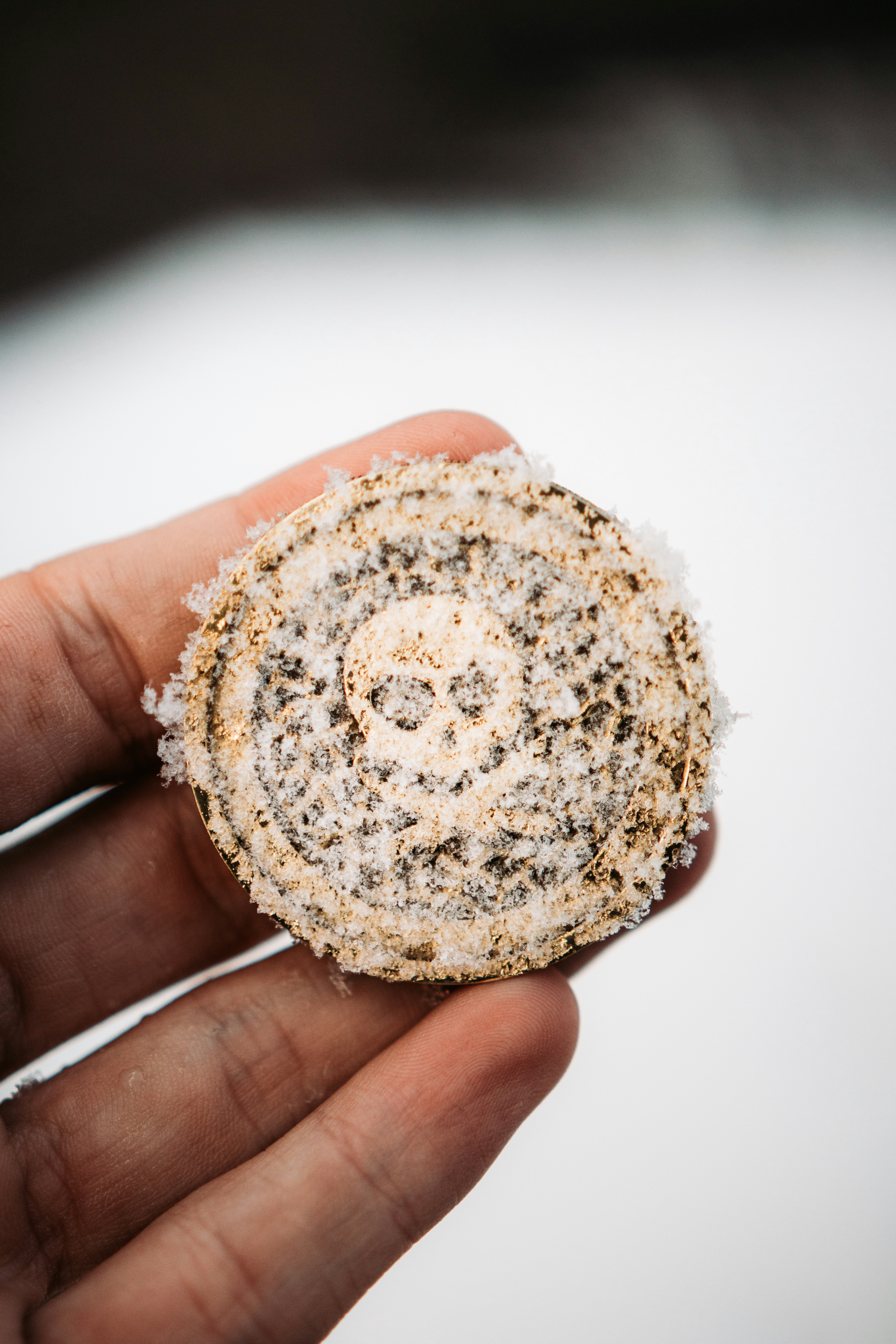 person holding round white and brown ornament